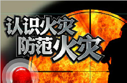 認(rèn)識(shí)火災(zāi) 防范火災(zāi)