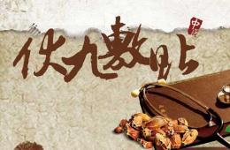 2014年伏九敷貼開(kāi)始啦