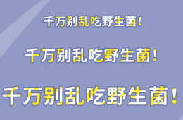 采食蘑菇須甄別，誤食毒菌危害大