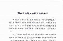 醫(yī)療機(jī)構(gòu)依法依規(guī)執(zhí)業(yè)承諾書(shū)