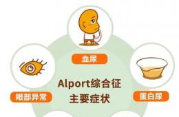 【讓罕見被看見·叁】這種腎病，會(huì)合并視力及聽力下降
